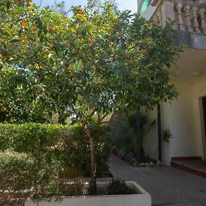 Sea Horse Oasis Apartment